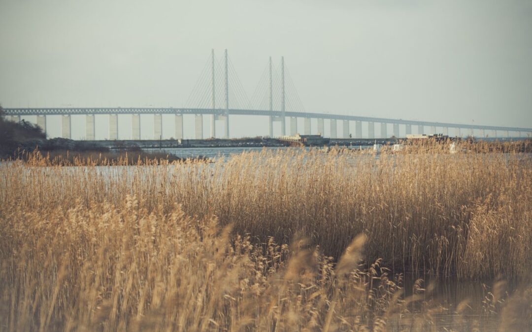 Kan danskere få ADHD-udredning i Sverige