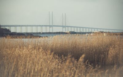 Kan danskere få ADHD-udredning i Sverige